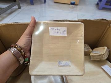 Tô vuông mo cau 16cm 10 cái