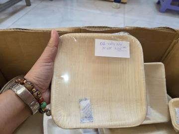 Đĩa vuông mo cau nhỏ 15cm 10 cái