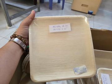 Đĩa vuông mo cau lớn 20cm 10 cái