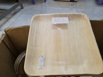 Đĩa vuông mo cau lớn 25cm 10 cái